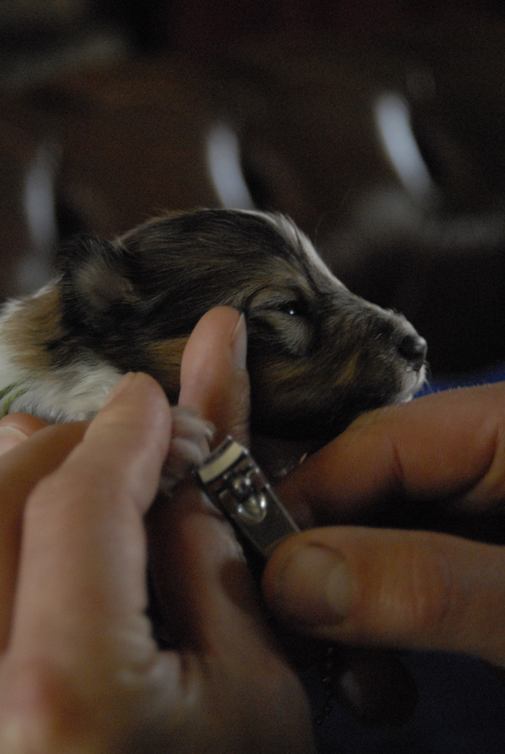 08 mai, Fun se faisant couper les ongles le seizième jour.